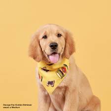 Bandana for your Good Boy - Cotton